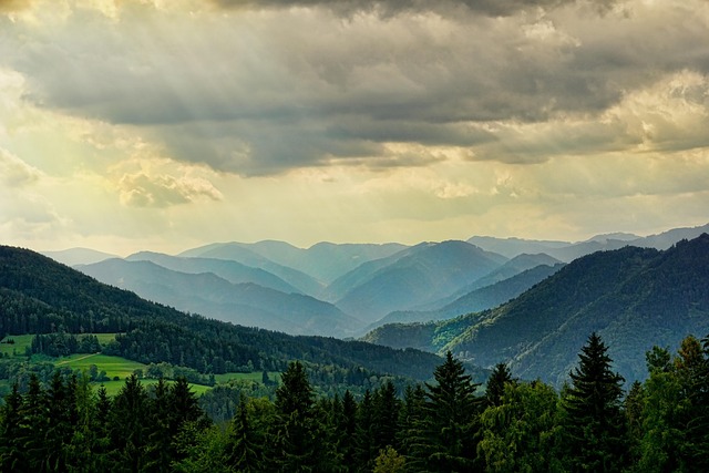 amily Villas in Poland for Easy Travel