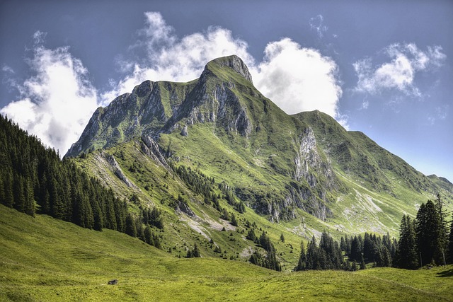 Budget Homestays in Switzerland for Smart Stays