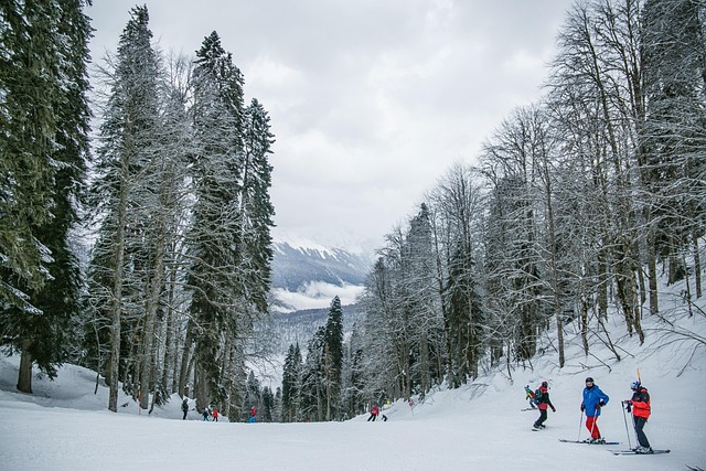 Bulgaria Ski Resorts for Winter Escapes
