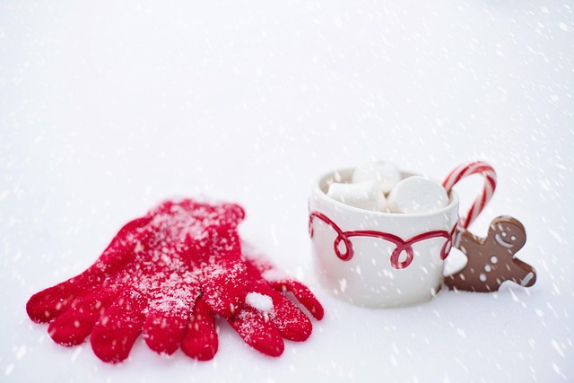 Lithuania Homestays for Cozy Winter Stays