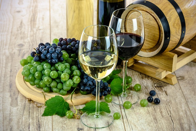 ortugal Wine Villas for Vineyard Escapes