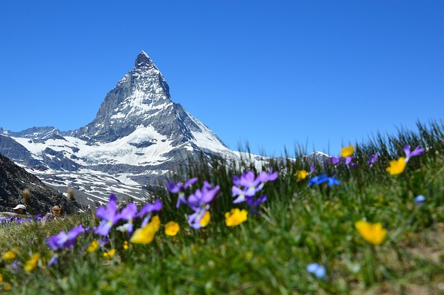 Swiss Alpine Hotels for Scenic Stays