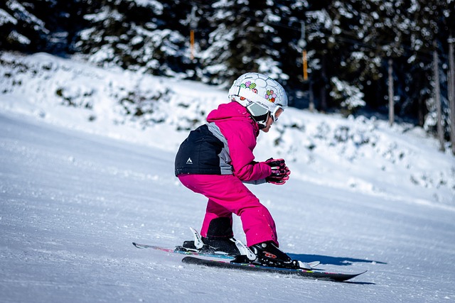 ukovel Ski Villas for Winter Holidays